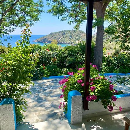 Studios Ioanna Limnionas Samos Marathokampos Bagian luar foto