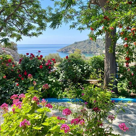 Studios Ioanna Limnionas Samos Marathokampos Bagian luar foto