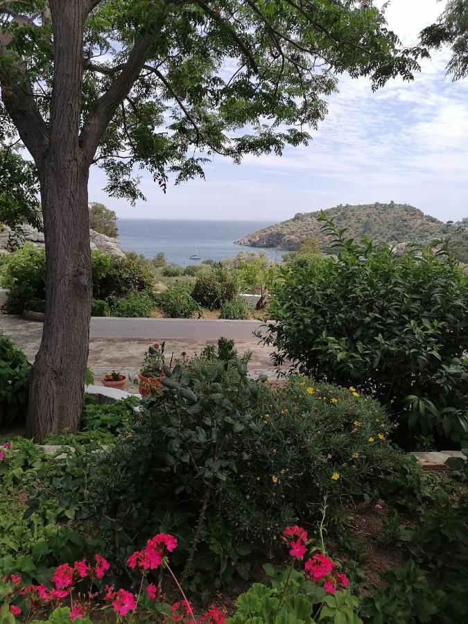 Studios Ioanna Limnionas Samos Marathokampos Bagian luar foto