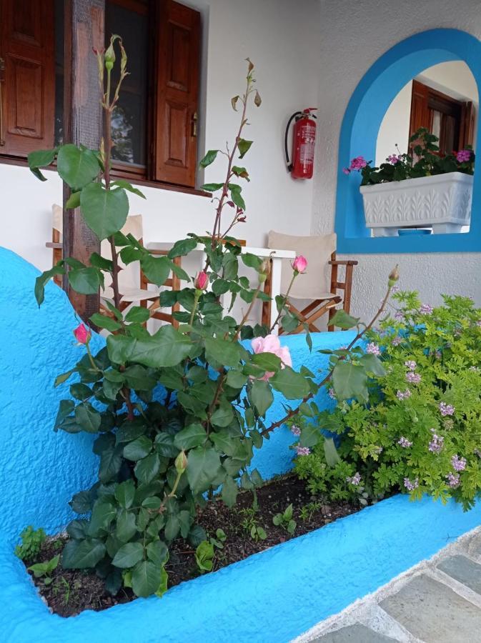 Studios Ioanna Limnionas Samos Marathokampos Bagian luar foto
