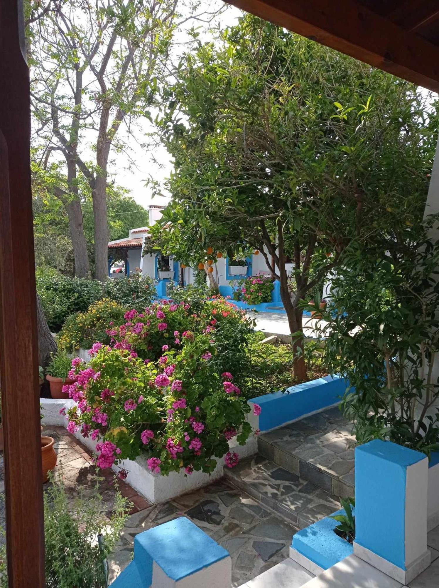 Studios Ioanna Limnionas Samos Marathokampos Bagian luar foto