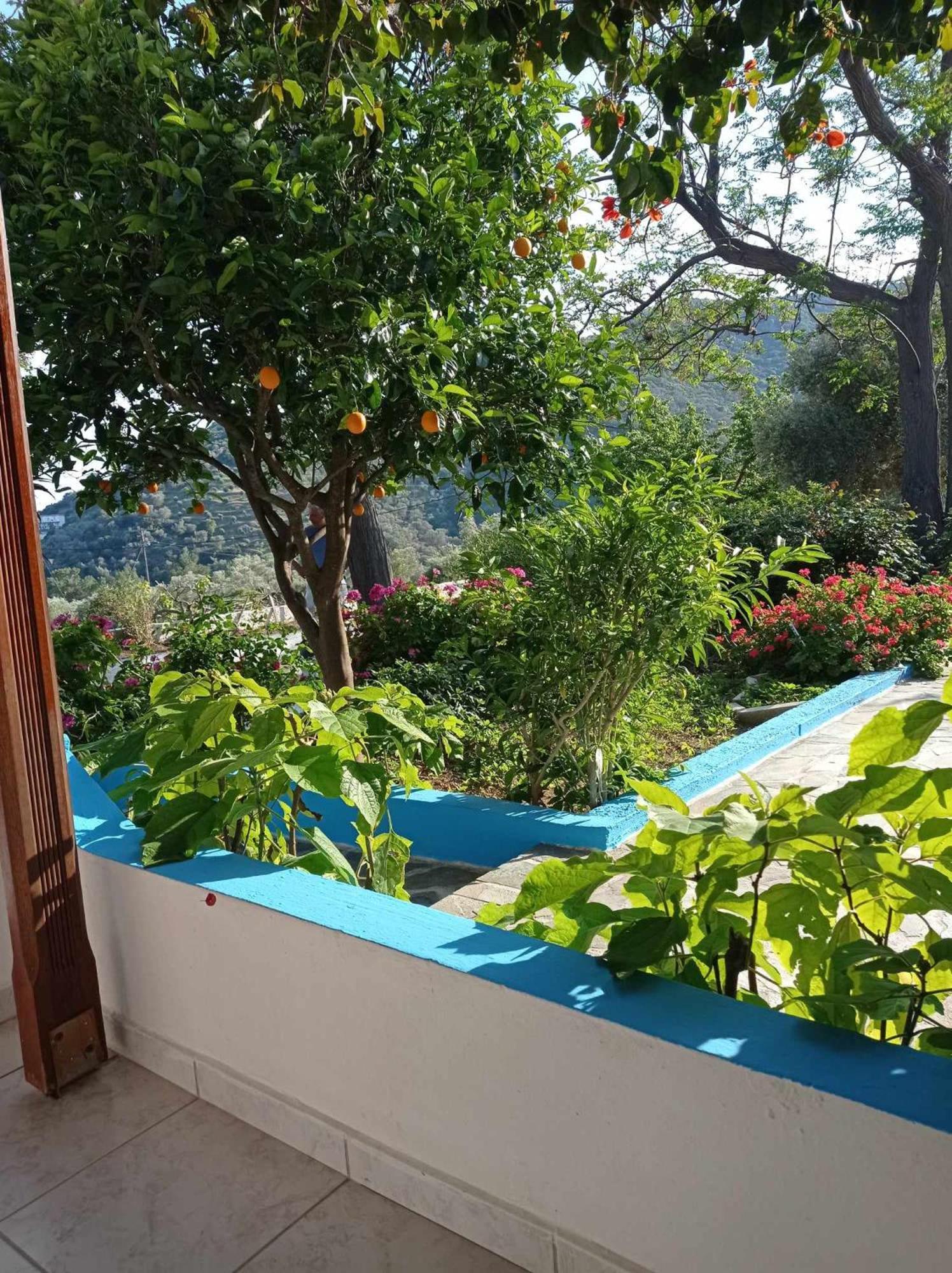 Studios Ioanna Limnionas Samos Marathokampos Bagian luar foto