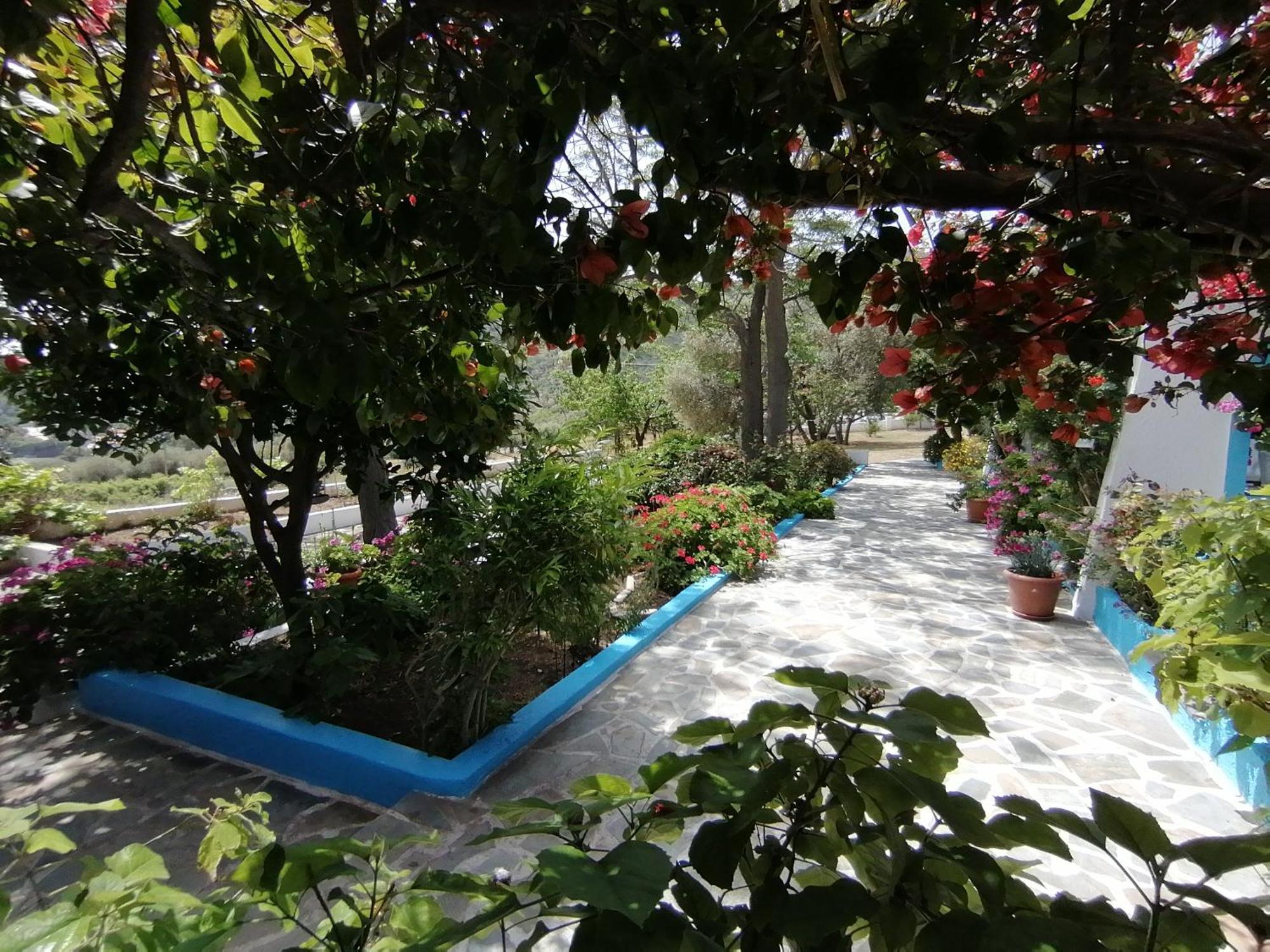 Studios Ioanna Limnionas Samos Marathokampos Bagian luar foto