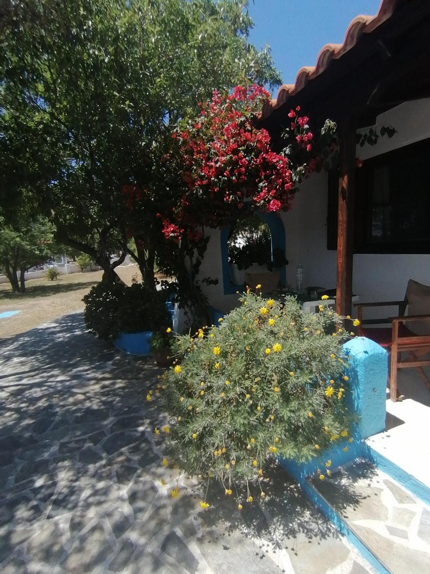 Studios Ioanna Limnionas Samos Marathokampos Bagian luar foto