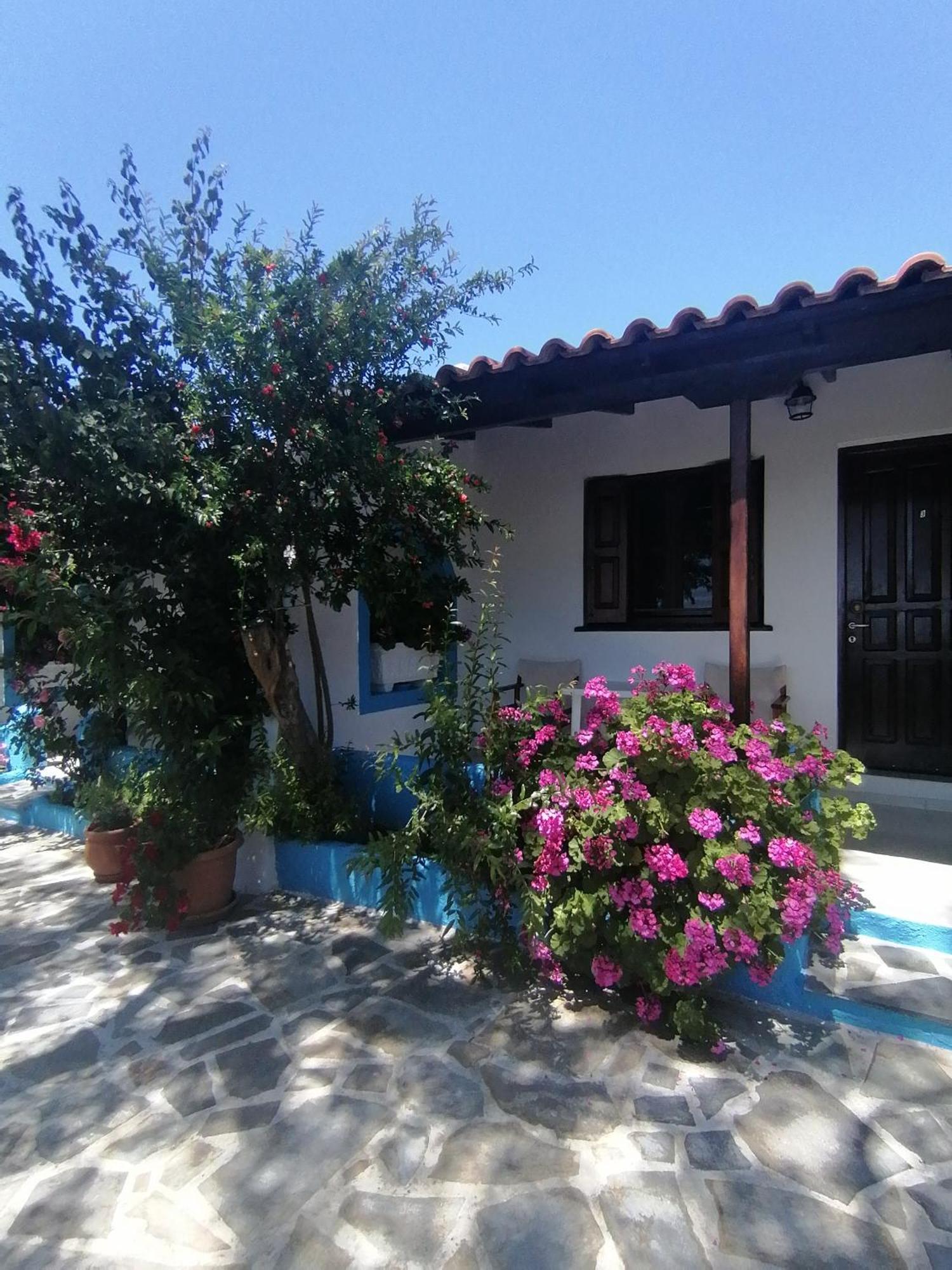 Studios Ioanna Limnionas Samos Marathokampos Bagian luar foto