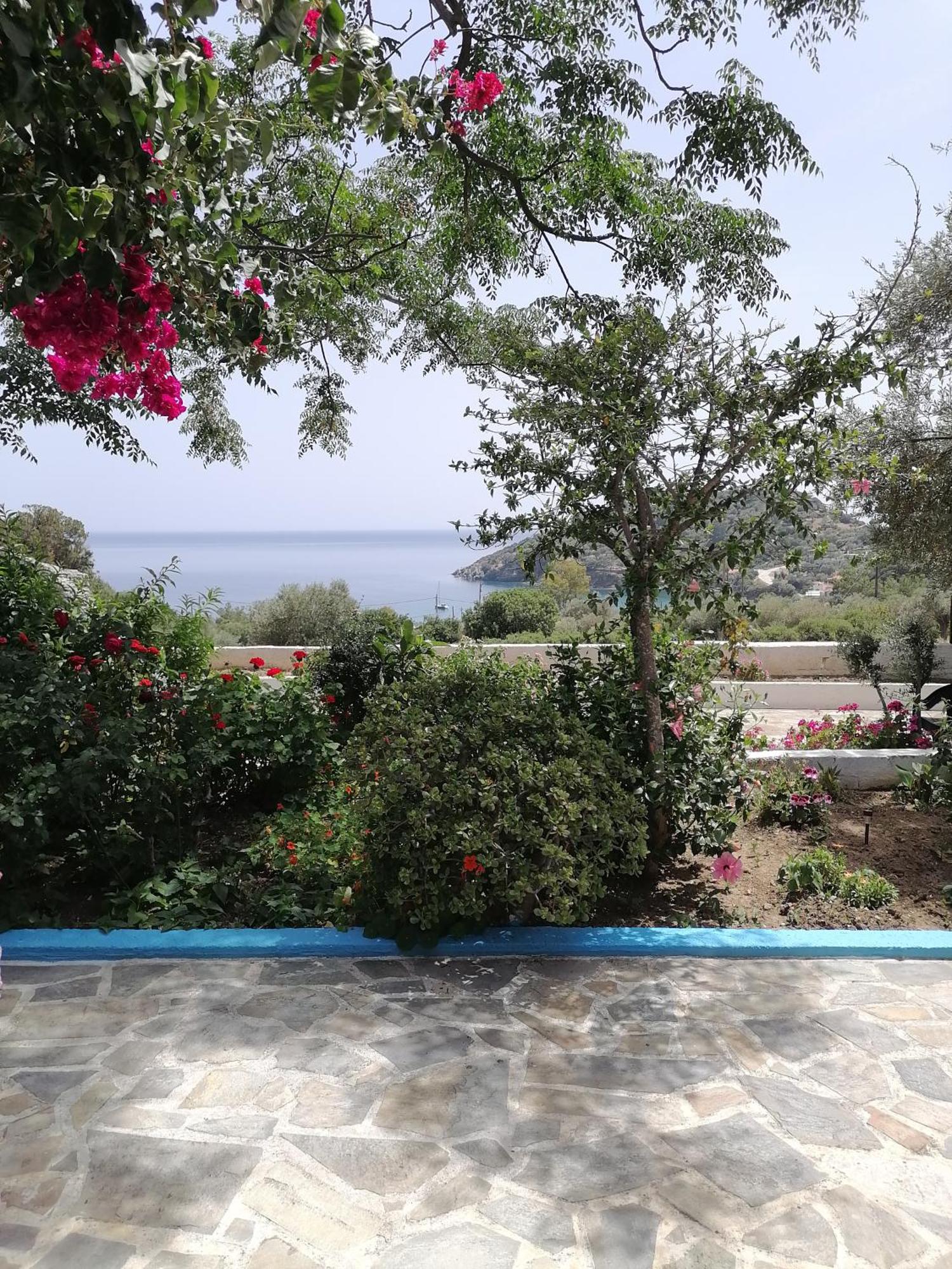 Studios Ioanna Limnionas Samos Marathokampos Bagian luar foto