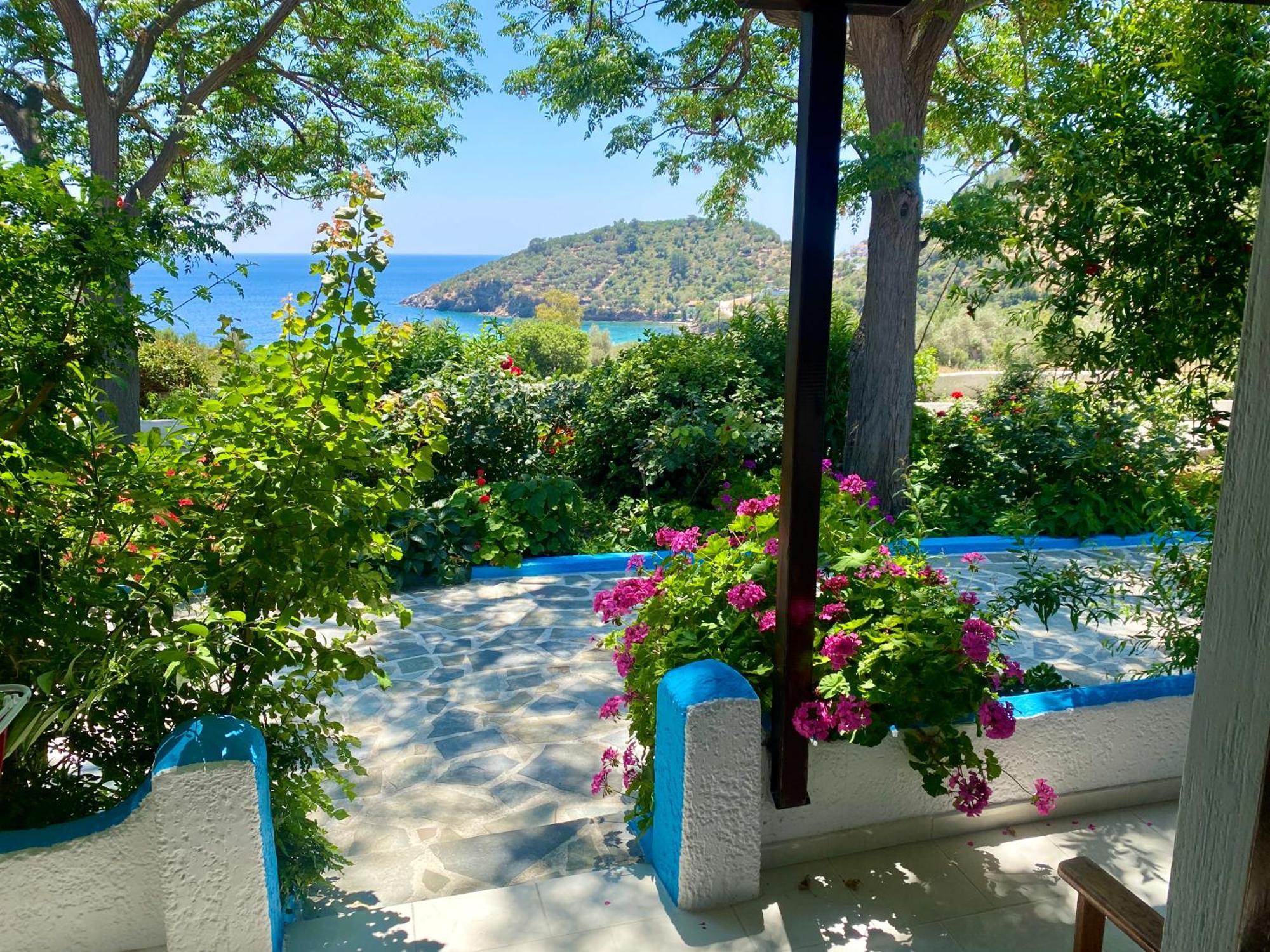Studios Ioanna Limnionas Samos Marathokampos Bagian luar foto