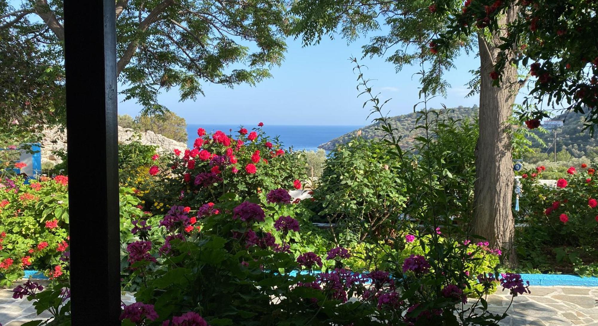Studios Ioanna Limnionas Samos Marathokampos Bagian luar foto