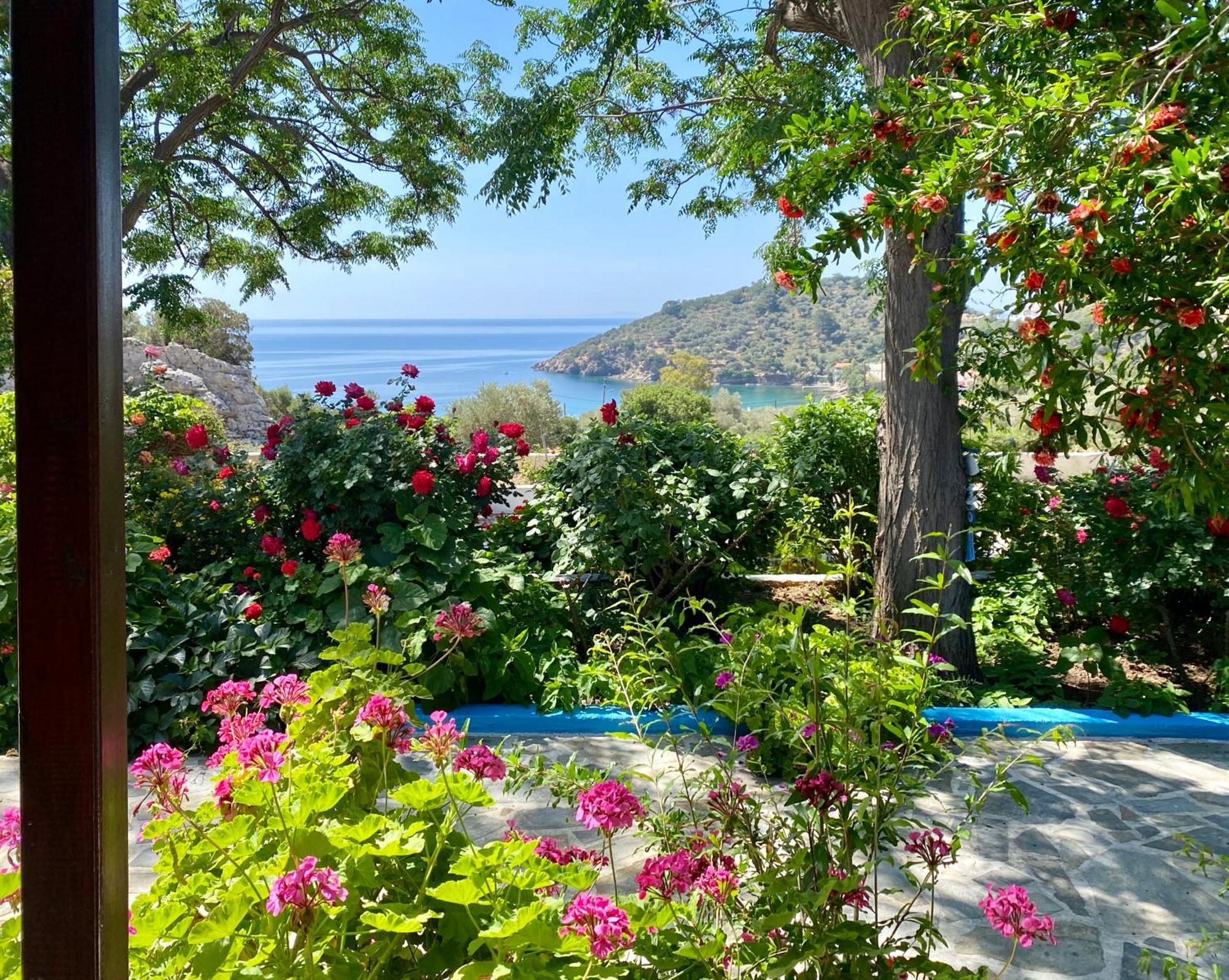 Studios Ioanna Limnionas Samos Marathokampos Bagian luar foto