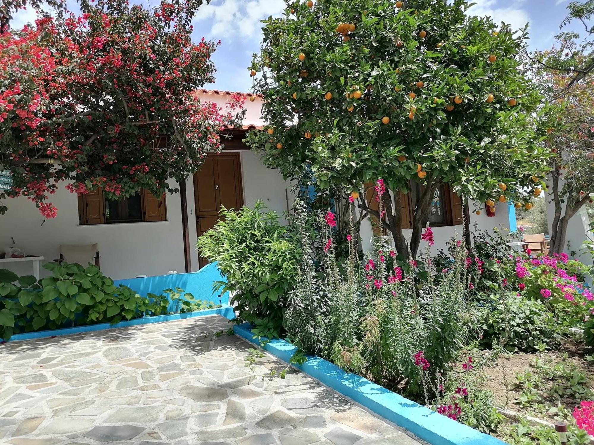 Studios Ioanna Limnionas Samos Marathokampos Bagian luar foto